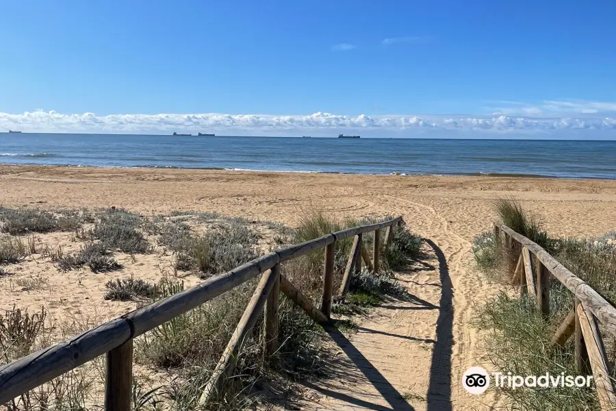 Las Marismas de Odiel