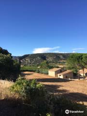 Le Petit Train des Vignes du Domaine Alexandrin