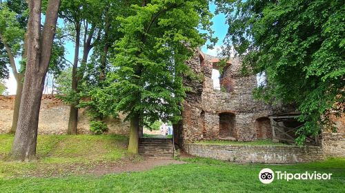 Ruins of Ducal Castle in Zabkowice Slaskie