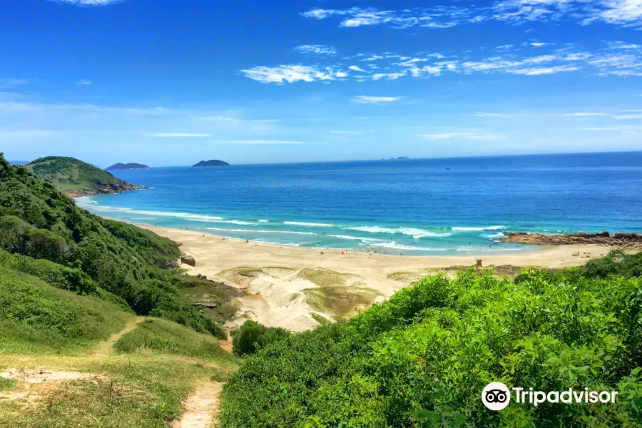 Prainha Beach