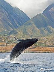 Jean-Michel Cousteau's Ambassadors of the Environment