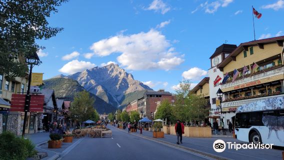 Findhorn + Portnoy + Cairngorms National Park + Banff + Karon one-day tour