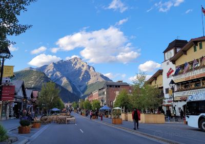 Banff Avenue