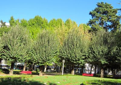 Mondego's Verde Park