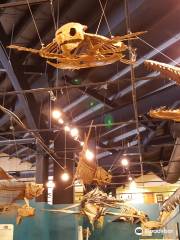 Rocky Mountain Dinosaur Resource Center