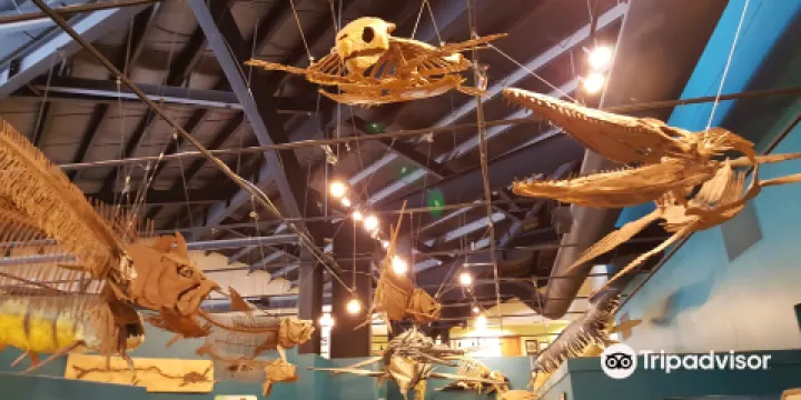 洛磯山恐龍資源中心