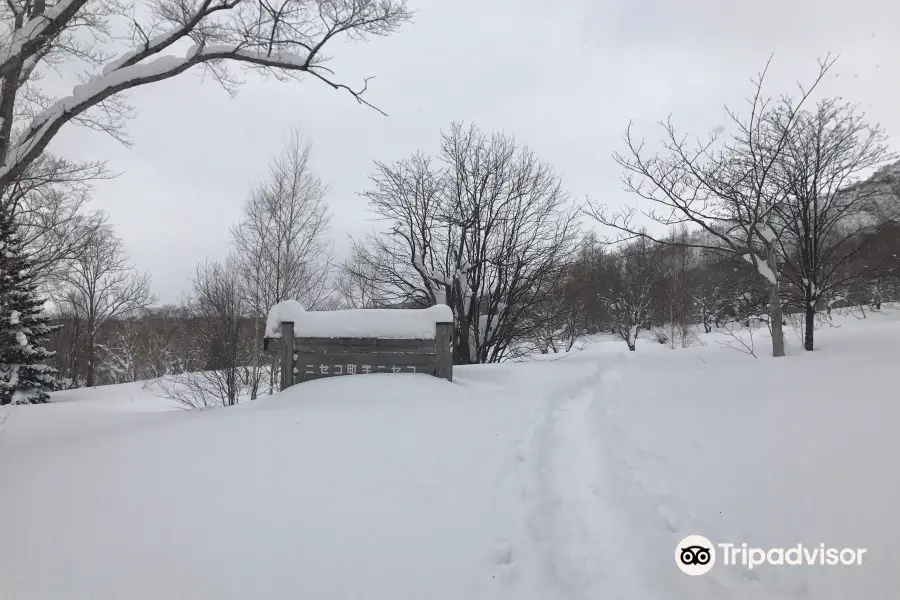 Niseko Outdoor Center (NOC)