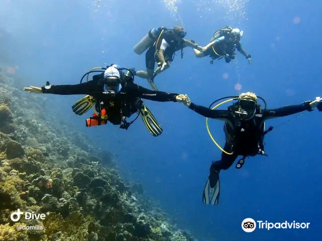 Diving in Sharm El Sheikh