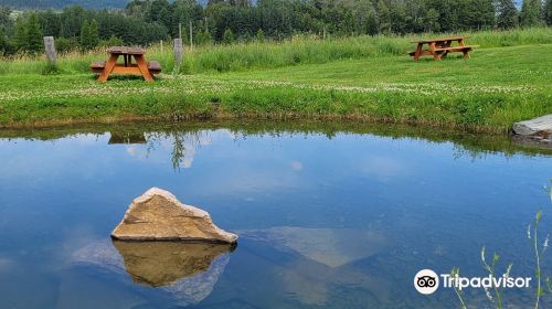 The World's Largest Paddle