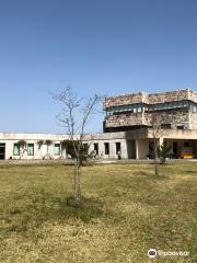 Miyazaki Prefectural Saitobaru Archaeological Museum