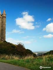 Scrabo Tower