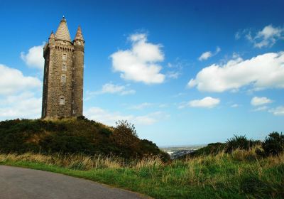 Scrabo Tower