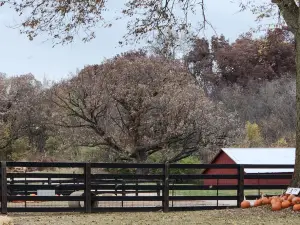 Dollinger Family Farm