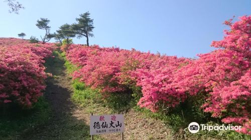 徳仙丈山