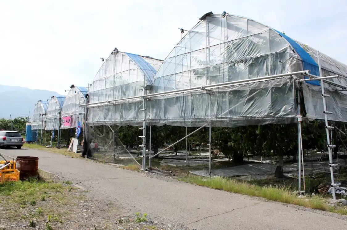 Các khách sạn gần Nakagomi Fruit Orchard
