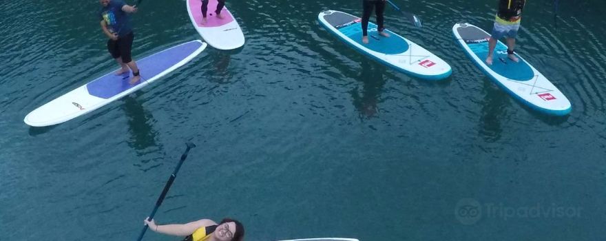 SUP Surfari
