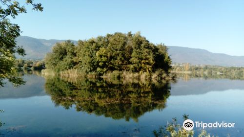 Lac de Divonne