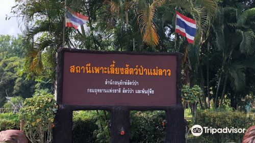 Mae Lao Wildlife Breeding Center