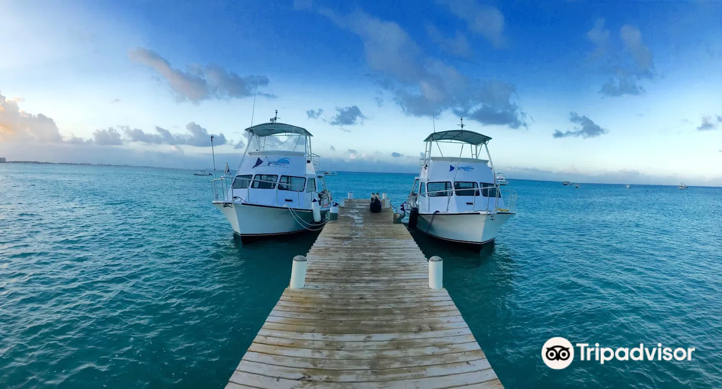 1_Living The Dream Divers