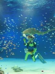 マリホ水族館