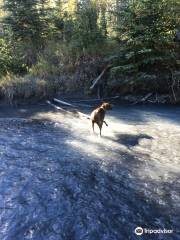 North Fork Eagle River