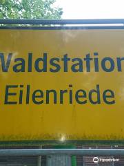 Waldstation Eilenriede
