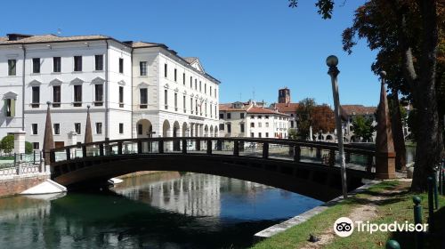 Ponte dell'Universita