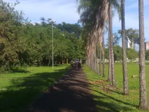 Parque do Rio Jau