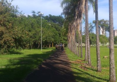 Parque do Rio Jau