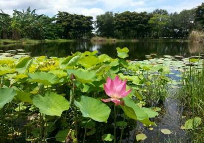 Parque Botánico Palma Sola