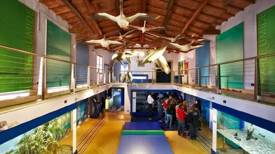 Museo di Storia Naturale della Maremma