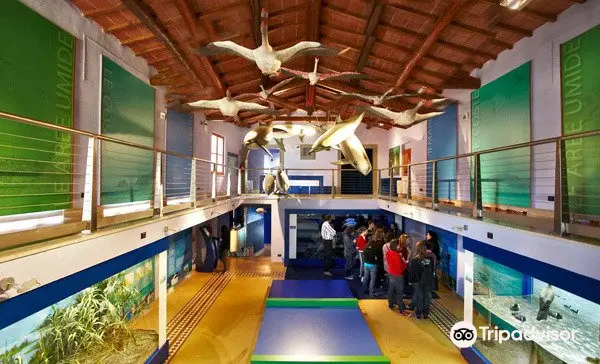 Museo di Storia Naturale della Maremma