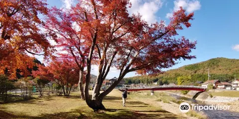 Maple Forest of Yuishoan Trace