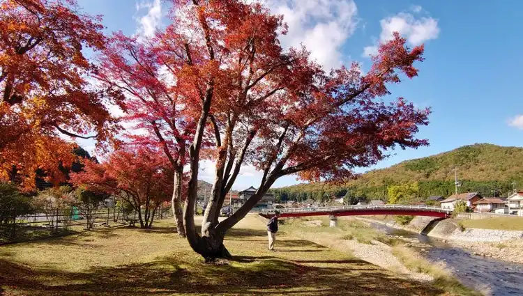 Hotels in Akitakata