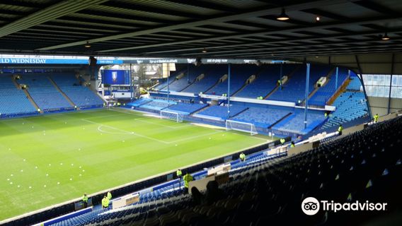 สนามกีฬาฮิลส์โบโร