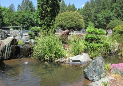 Willamette Hatchery