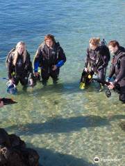 Dive Otago Ltd