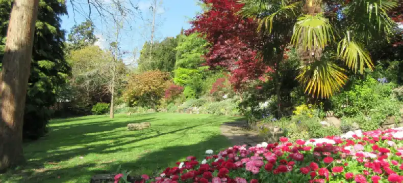 Hotels in Bromley