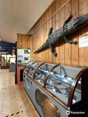 Haslemere Educational Museum