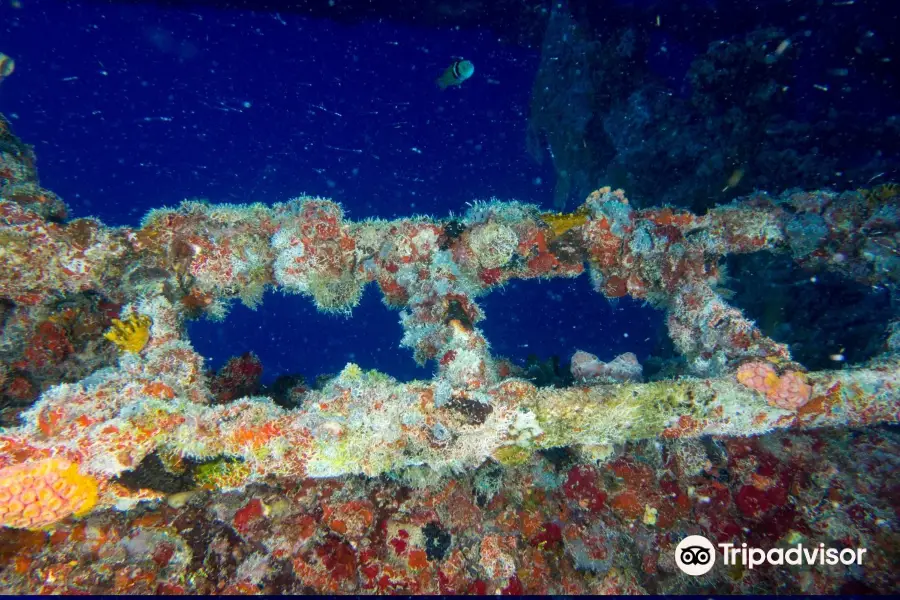 Vandenberg Wreck