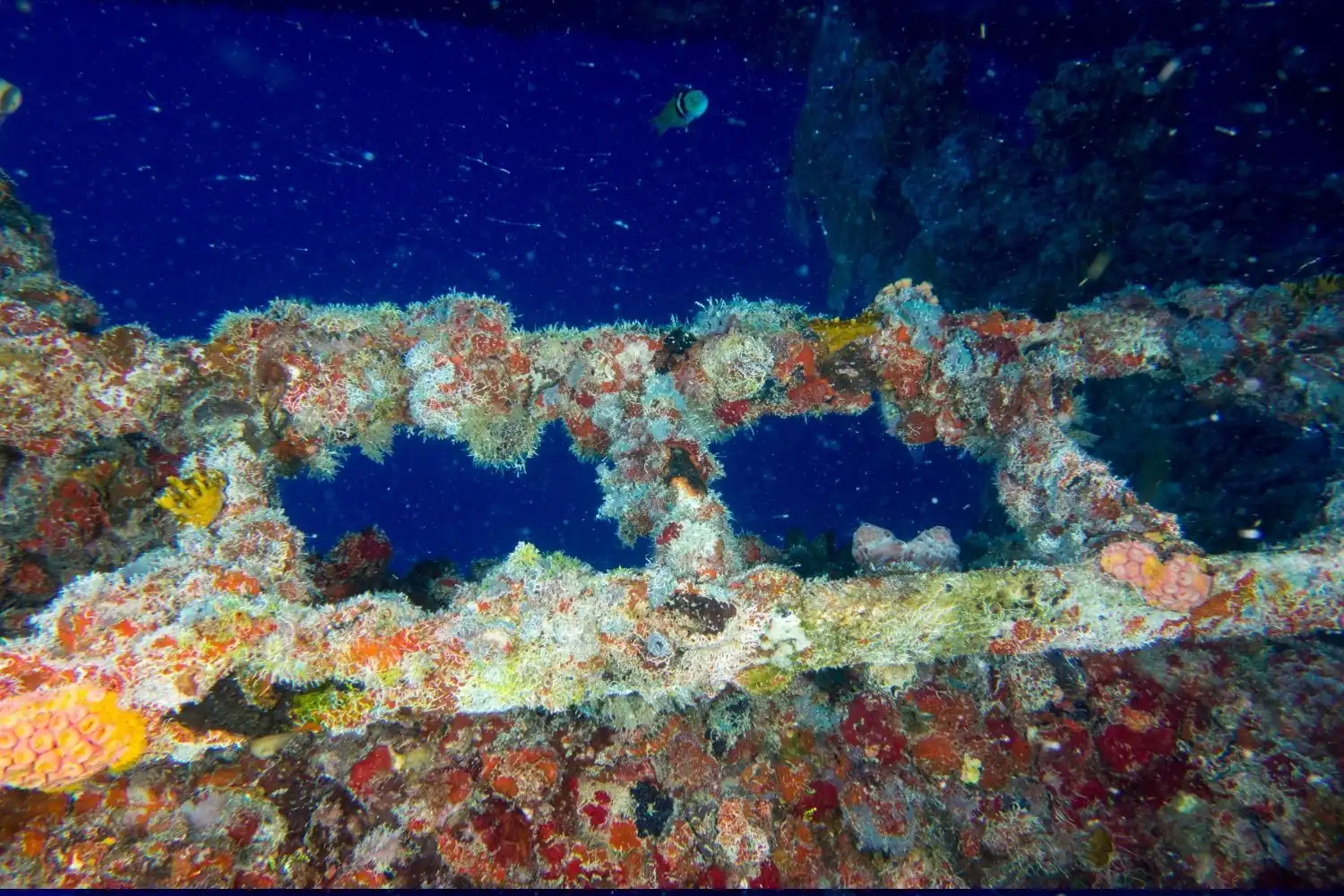 Hotels near Vandenberg Wreck