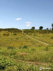 Powdermill Nature Reserve