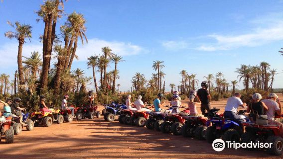Morocco Marrakech 2-hour desert motorbike ride + 1-hour dromedary camel cycling