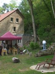 Nahe der Natur - Mitmach-Museum fur Naturschutz