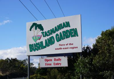 Tasmanian Bushland Garden