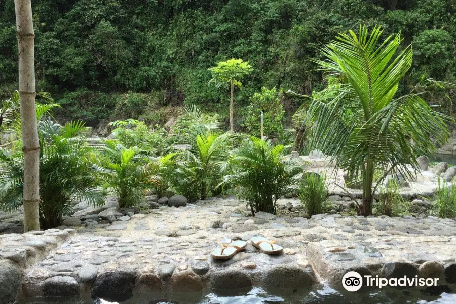 Asin Hot Springs