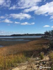 Back Cove Trail