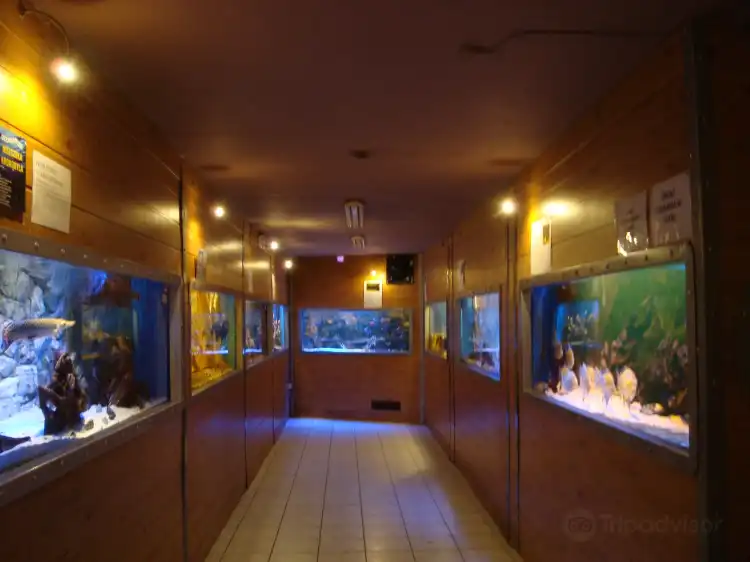 Hotels near Oceanarium