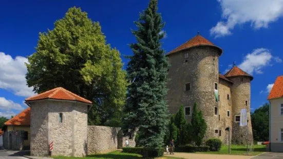 Frankopan Castle