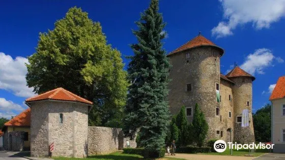 Frankopan Castle